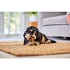 Yakers Himalayan Yak Milk Dog Chew Box