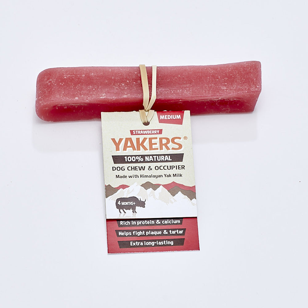 Yakers Himalayan Yak Milk Dog Chew Strawberry Box – Superpet Limited