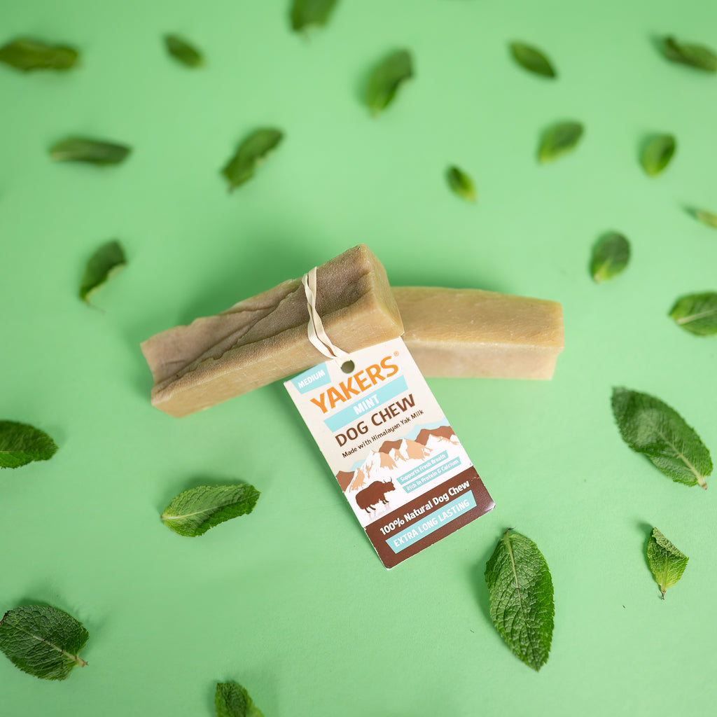 Yakers Dog Chew Mint Flavour Superpet Limited