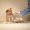 Yakers Himalayan Yak Milk Dog Chew Tumeric Box