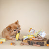 Yakers Himalayan Yak Milk Dog Chew Tumeric Box