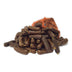 Antos Gourmet Sausages 3kg - Superpet Limited