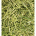 Friendly Green Oat ReadiGrass 1kg - Superpet Limited