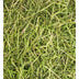 Friendly ReadiGrass 1kg - Superpet Limited