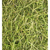 Friendly ReadiGrass 2 x 1kg - Superpet Limited