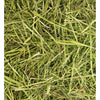 Friendly Timothy ReadiGrass 4 x 1kg - Superpet Limited