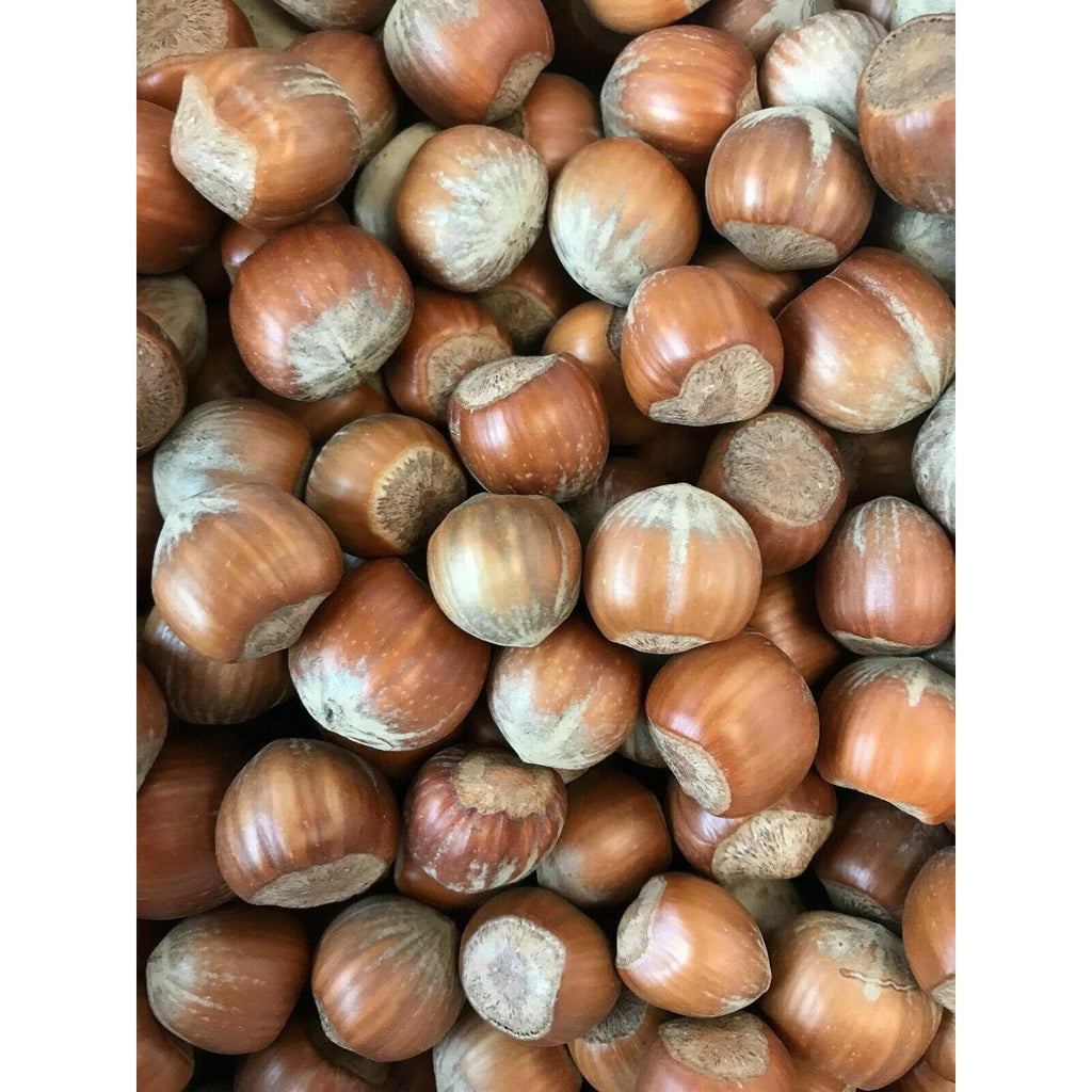 Hazelnuts in Shells For Birds, Squirrels & Wildlife Superpet Ltd