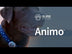 Sure Pet Care Animo Dog Activity & Behaviour Monitor