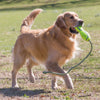 KONG AirDog Fetch Stick with Rope Large - Superpet Limited