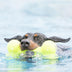 KONG AirDog Squeaker Bone Large - Superpet Limited