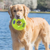 KONG AirDog Squeaker Donut Large - Superpet Limited