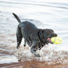 KONG AirDog Squeaker Football Small - Superpet Limited