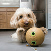 KONG Bamboo Feeder Ball Medium - Superpet Limited