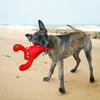 KONG Belly Flops Lobster Medium - Superpet Limited