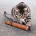 KONG Better Buzz Cigar - Superpet Limited