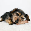 KONG ChewStix Bone Medium - Superpet Limited