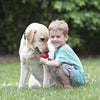 KONG Classic Large - Superpet Limited