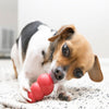 KONG Classic X-Small - Superpet Limited