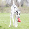 KONG Classic XX-Large - Superpet Limited