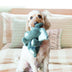 KONG Comfort Kiddos Elephant X-Small - Superpet Limited