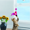KONG Connects Window Teaser - Superpet Limited