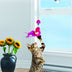 KONG Connects Window Teaser - Superpet Limited