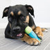 KONG CoreStrength Bone Medium/Large - Superpet Limited