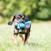 KONG Cozie Brights Medium - Superpet Limited
