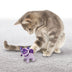 KONG Crackles Winkz Cat - Superpet Limited