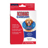 KONG Cushion Collar - Superpet Limited