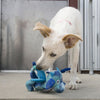 KONG Dragon Knots Medium/Large - Superpet Limited