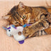 KONG Enchanted Characters - Superpet Limited