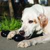 KONG Extreme Goodie Bone Large - Superpet Limited