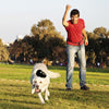 KONG Extreme Large - Superpet Limited