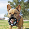 KONG Extreme Ring XL - Superpet Limited