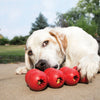 KONG Goodie Ribbon Large - Superpet Limited