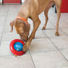 KONG Gyro Small - Superpet Limited