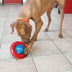 KONG Gyro Small - Superpet Limited