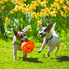 KONG Jumbler Ball L/XL - Superpet Limited
