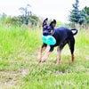 KONG Jumbler Football L/XL - Superpet Limited