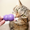 KONG Kitty KONG - Superpet Limited