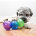 KONG Lock-It 3pk Small - Superpet Limited