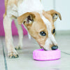 KONG Puppy Tyres Medium/Large - Superpet Limited