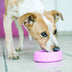 KONG Puppy Tyres Medium/Large - Superpet Limited
