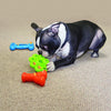 KONG Quest Star Pod Small - Superpet Limited