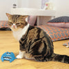 KONG Refillables Purrsonality Moody - Superpet Limited
