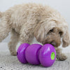 KONG RePlay Small - Superpet Limited