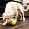 KONG Rewards Tennis Treat Dispenser Large - Superpet Limited