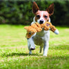 KONG Scrunch Knots Fox Small/Medium - Superpet Limited