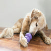 KONG Senior Medium - Superpet Limited